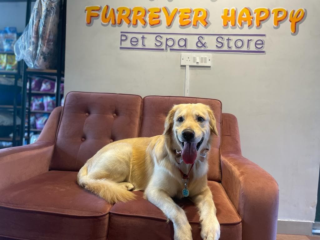 Pet salon location